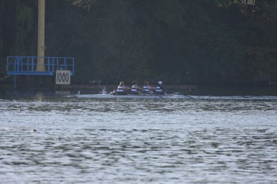 Regatta-4064.jpg