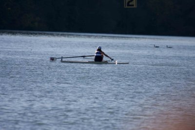 Regatta-4769.jpg