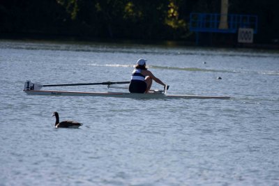 Regatta-4800.jpg