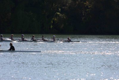 Regatta-5037.jpg