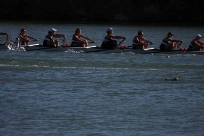Regatta-5106.jpg