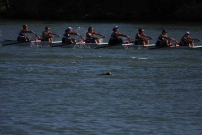Regatta-5127.jpg
