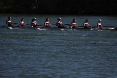 Regatta-5132.jpg