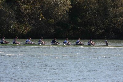 Regatta-5240.jpg
