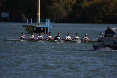 Regatta-5338.jpg