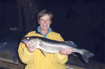 Jim-85.jpg