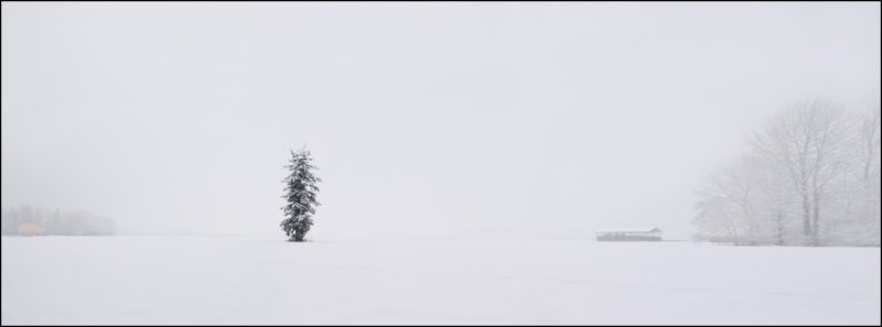 The Sentinel