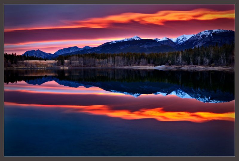 Purple Dawn II