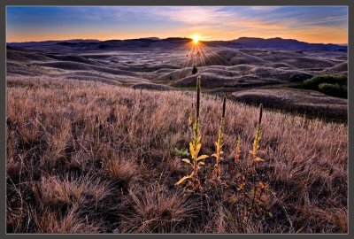 Daybreak Sunburst