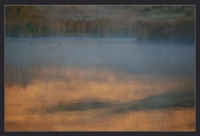 Early Morning Mist