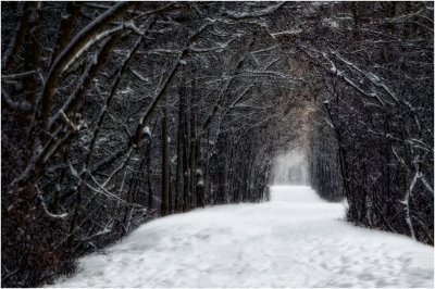 Snow Tunnel