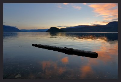 Log Buoy