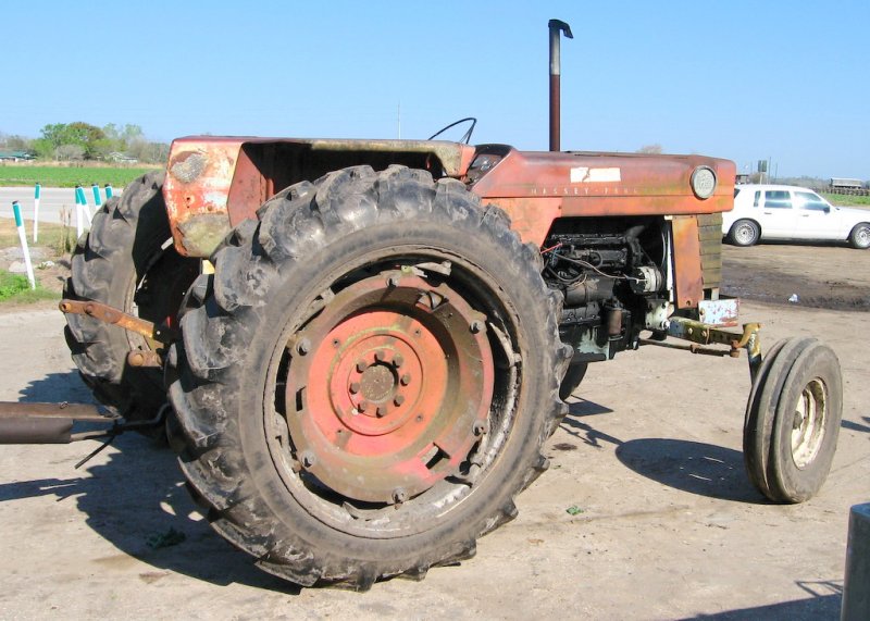 OLD MASSEY FERGUSON STILL AT WORK