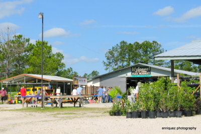 ST. JOHN'S FLEA MARKET