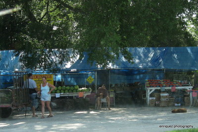 ROAD SIDE FRUITS (and lazy dog)