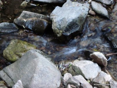 ON MT. LEMMON