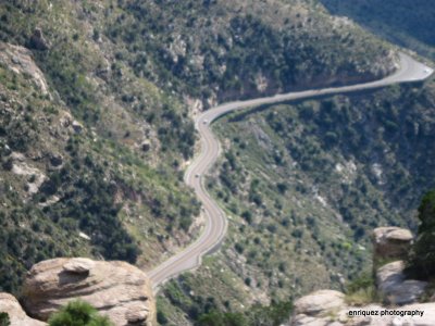 ON MT. LEMMON