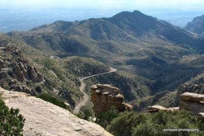 FROM WINDY POINT, MOUNT LEMMON