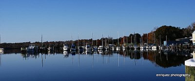 FROM CITY DOCK