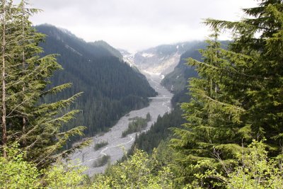 NISQUALLY RIVER