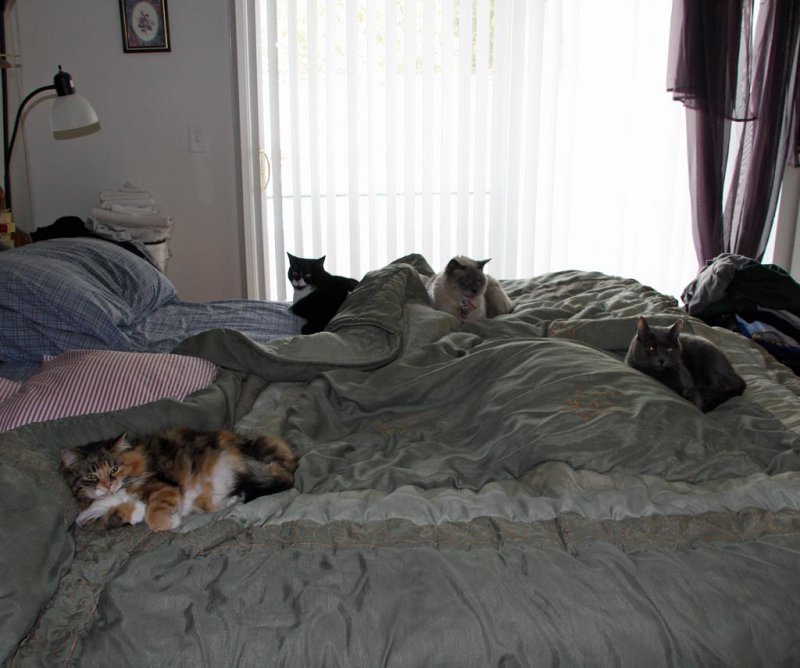 The 4 some