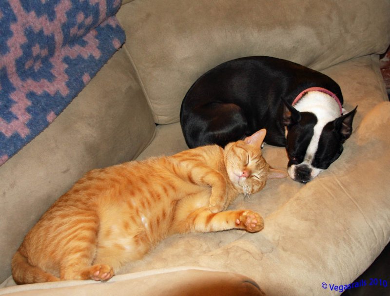 Henry and Nikki