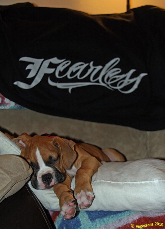 Fearless