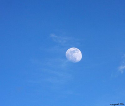After noon Moon