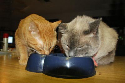 Sharing