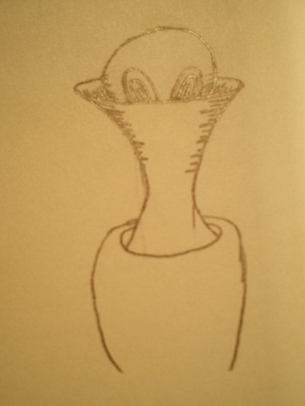 THE VASE