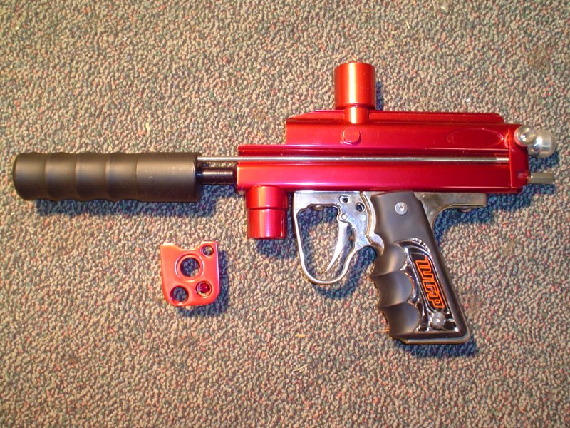 vid and pink cocker 090.JPG