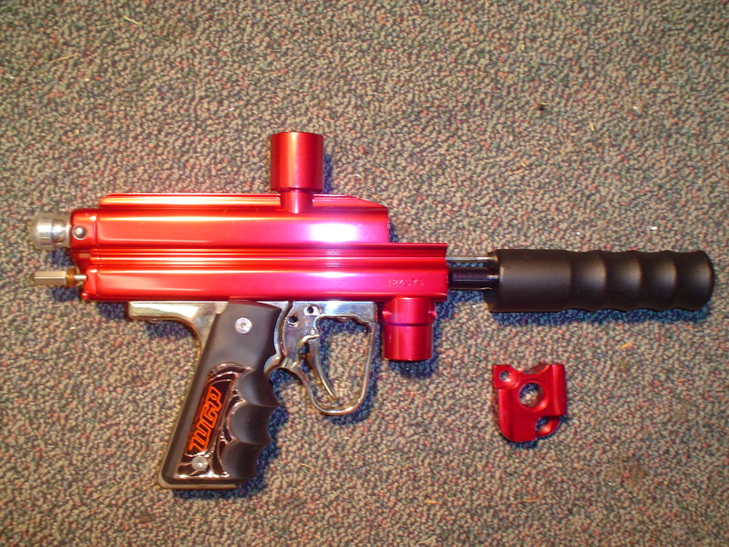 vid and pink cocker 091.JPG