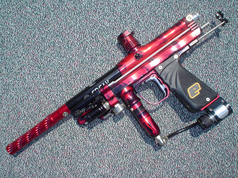 latest pics 023.JPG