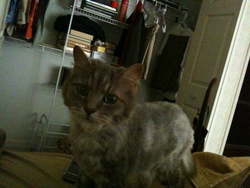 Iphone pics 020.jpg