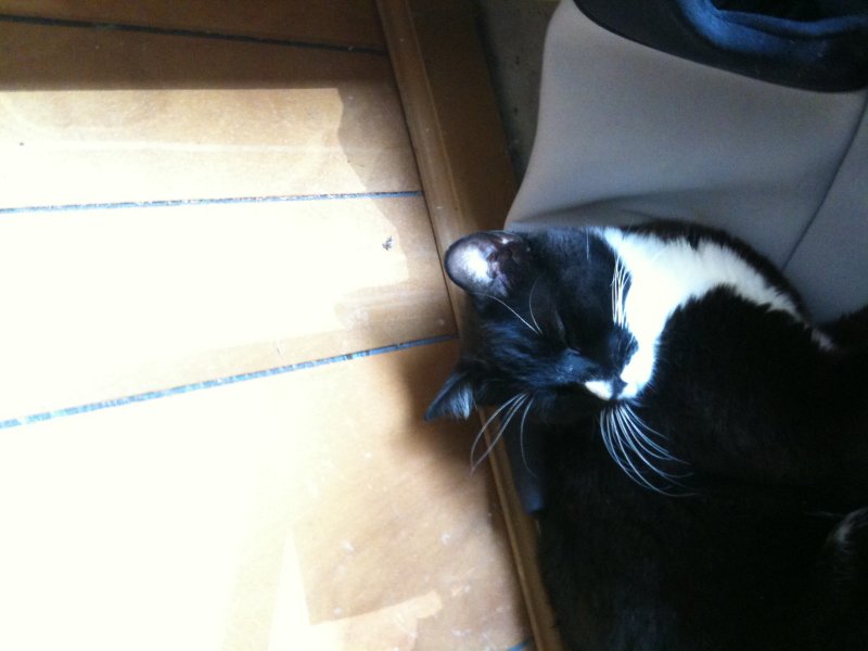 Iphone pics 023.jpg