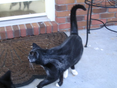 5-16-08 014.JPG