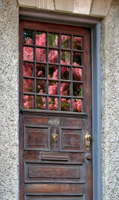 The crape myrtle at 410 A St. NE