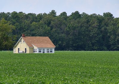 Eastern Shore (Chesapeake) farmhouse