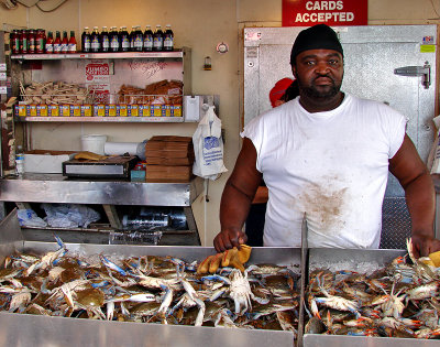 Blue crabs at the DC Waterfront