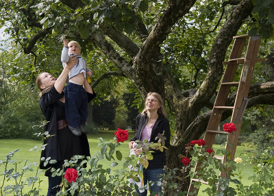 Apple picking party - Getting a boost