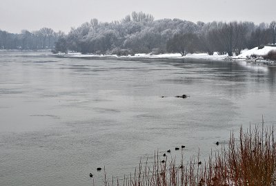 Gray day on the Danube