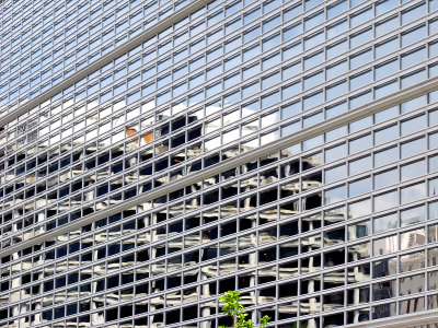 A bit of color at the World Bank