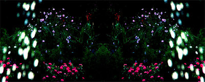 g1/38/634938/3/111418798.MnSignli.jpg