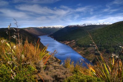 Golden Bay: New Zealand