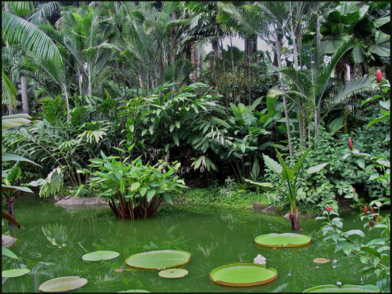 Botanic Gardens.jpg