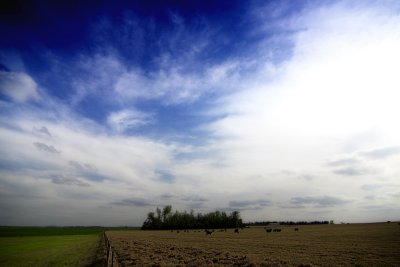 From The Fields Where We Worked And Played