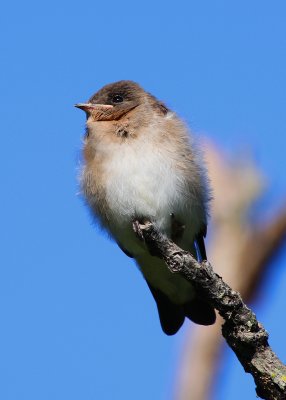 +IMG_60480.JPG