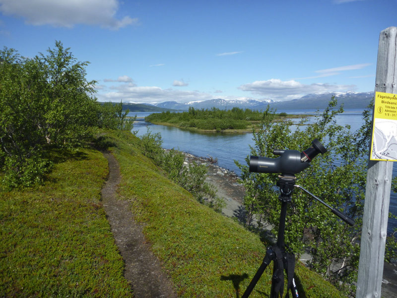 abisko fgelskydd.jpg