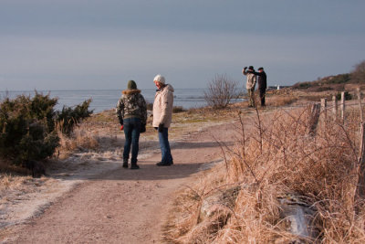 Mot Grtvik vinter sol