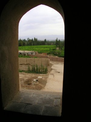 Turfan - another view of vineyards